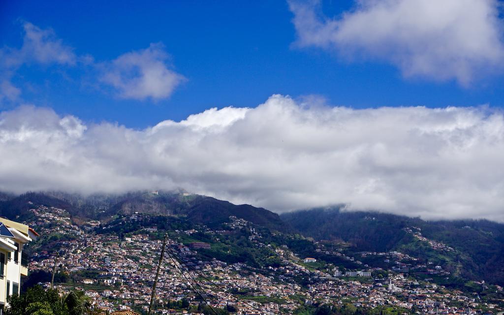 The Flame Tree Madeira (Adults Only) Hotel Фуншал Екстериор снимка